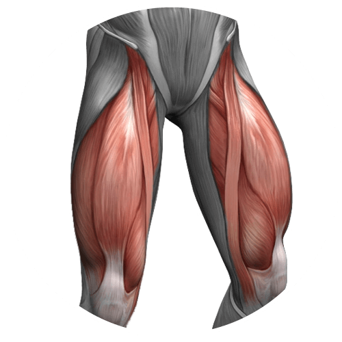 Esercizi allenamento quadricipiti e gambe