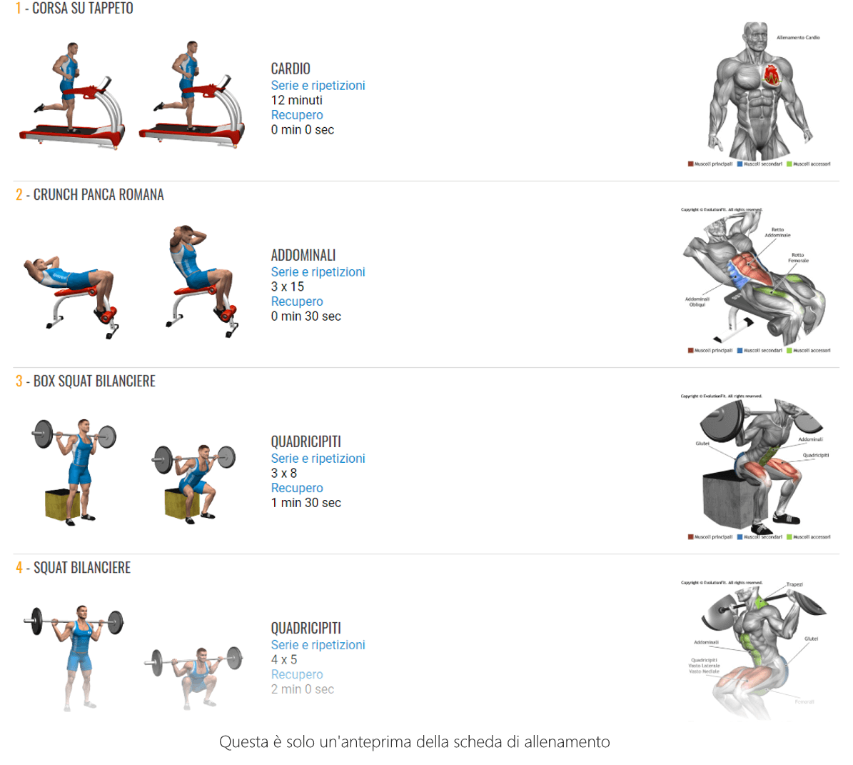 MASS TRAINING PROGRAM, LA GUIDA COMPLETA PER L'AUMENTO DELLA MASSA