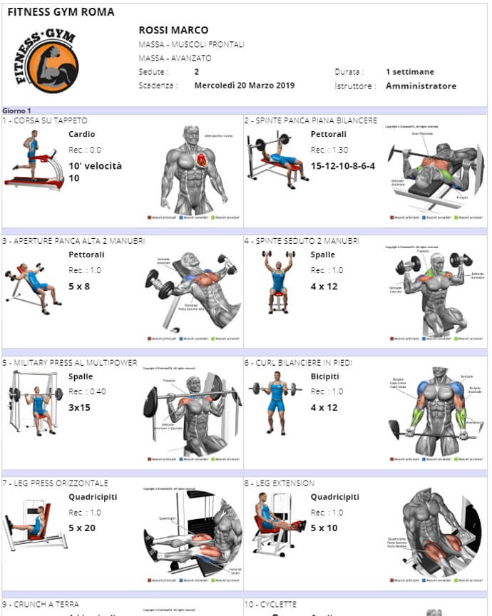 Stampa scheda allenamento mappa muscolare