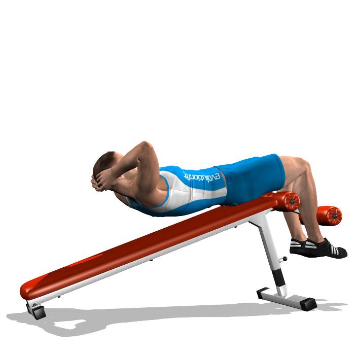 allenamento addominali crunch panca bassa inizio allenamento addominali crunch panca bassa inizio