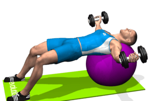 allenamento spalle aperture manubri stability ball fine