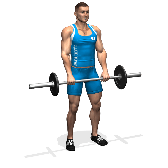 Allenamento avambracci curl inverso bilanciere in piedi inizio allenamento avambracci curl inverso bilanciere in piedi inizio