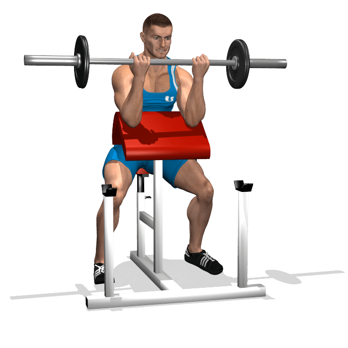 allenamento bicipiti curl panca scott bilanciere, fine allenamento bicipiti curl panca scott bilanciere, fine