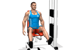 allenamento adduttori chiusure seduto adductor machine fine