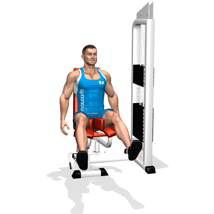 allenamento adduttori chiusure seduto adductor machine fine