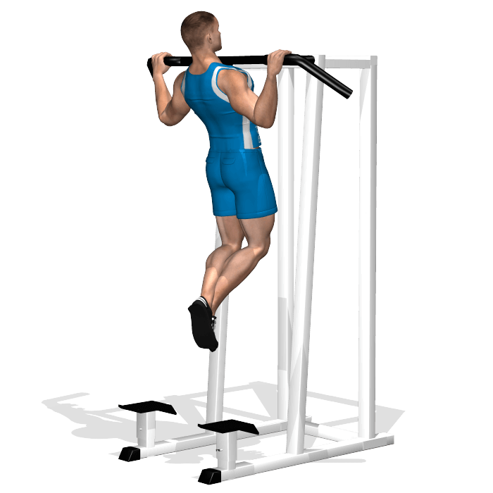 Allenamento dorsali trazioni sbarra avanti fine allenamento dorsali trazioni sbarra avanti fine