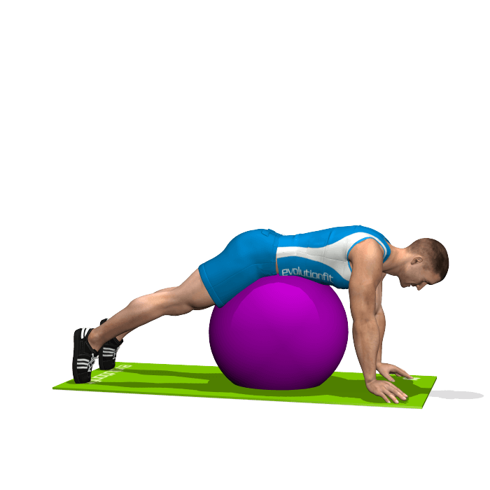 allenamento glutei alzate gambe stability ball inizio