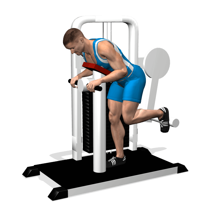 allenamento glutei spinte gluteus machine inizio