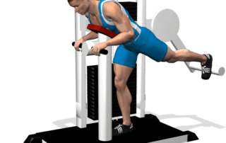 allenamento glutei spinte gluteus machine fine