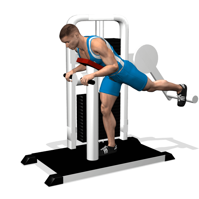 allenamento glutei spinte gluteus machine fine