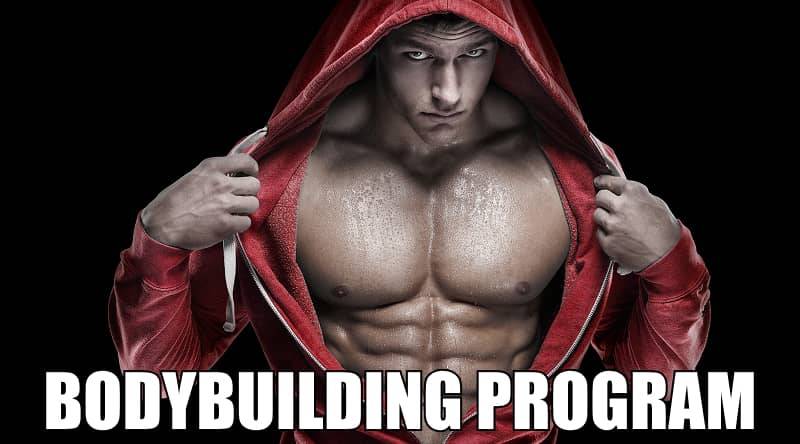 guida bodybuilding programm