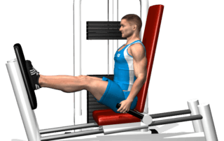 allenamento quadricipite leg press orizontale fine