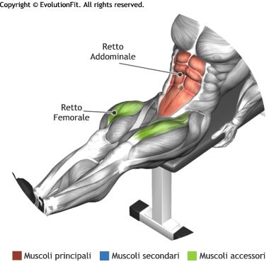 mappa addominali chiusure gambe panca piana