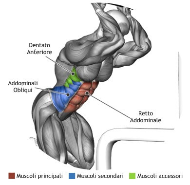 mappa muscolare addominali crunch ai cavi