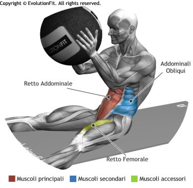 mappa muscolare addominali crunch con wallball