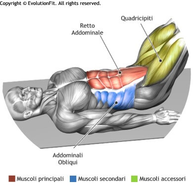 mappa muscolare addominali leg raise