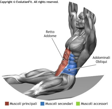 mappa muscolare addominali russian situp