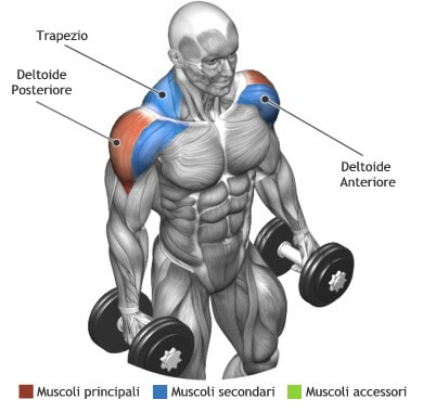 mappa muscolare spalle alzate laterali piedi