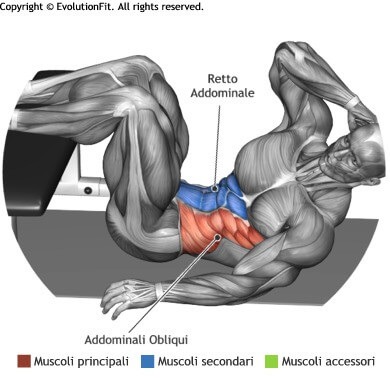 mappa muscolare crunch obliqui a terra gambe su panca