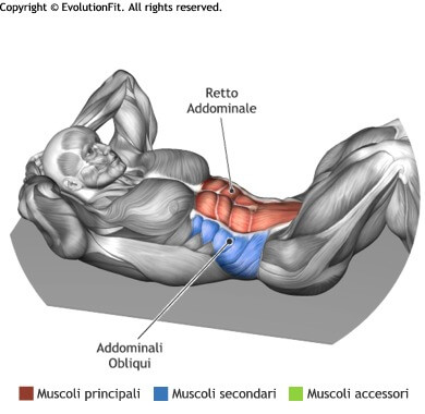 mappa muscolare ddominali crunch a terra