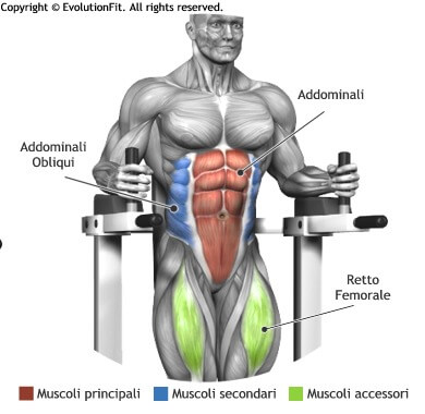 mappa muscolare addominali alzate gambe 90 alle parallele