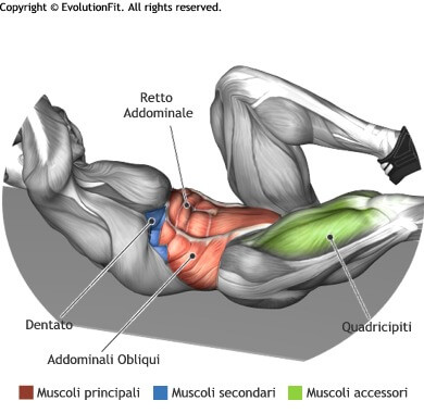 mappa muscolare addominali criss cross a terra