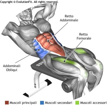 mappa muscolare addominali crunch panca romana