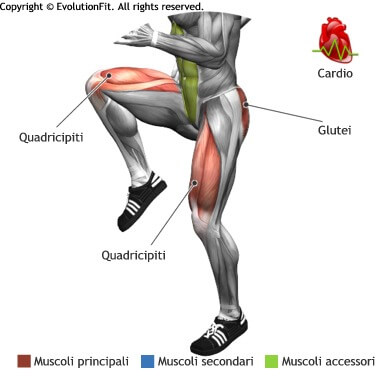 mappa muscolare cardio skip alto