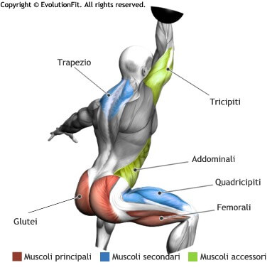 mappa muscolare total body clean and press jerk con kettlebell