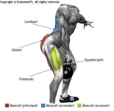 mappa muscolare glutei stacco swing kettlebell una mano