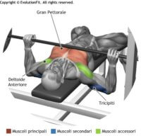 spinte-panca-piana-bilancere-vedi-l-esecuzione-evolutionfit