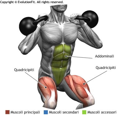 mappa muscolare quadricipiti squat 2 kettlebell