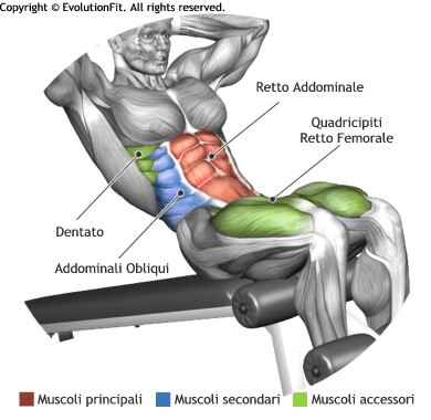 mappa muscolare addominali crunch panca bassa