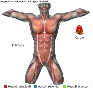 mappa muscolare cardio jumping jack