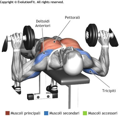 Spinte Panca Piana 2 Manubri Evolutionfit