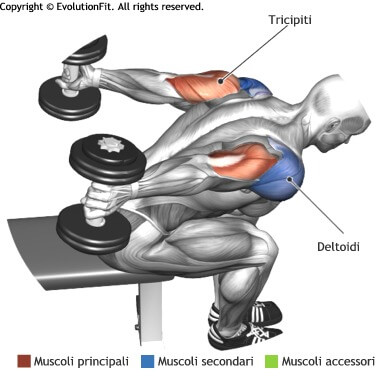 Esercizi per la palestra