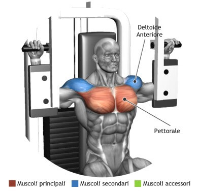 muscoli allenamento chiusure pectoral machine