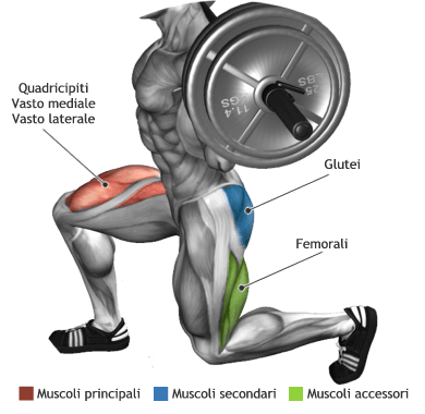 mappa muscolare quadricipiti glutei affondi statici bilanciere