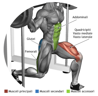 mappa muscolare quadricipiti affondi statici multipower