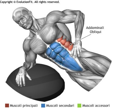 mappa muscolare side plank su bosu