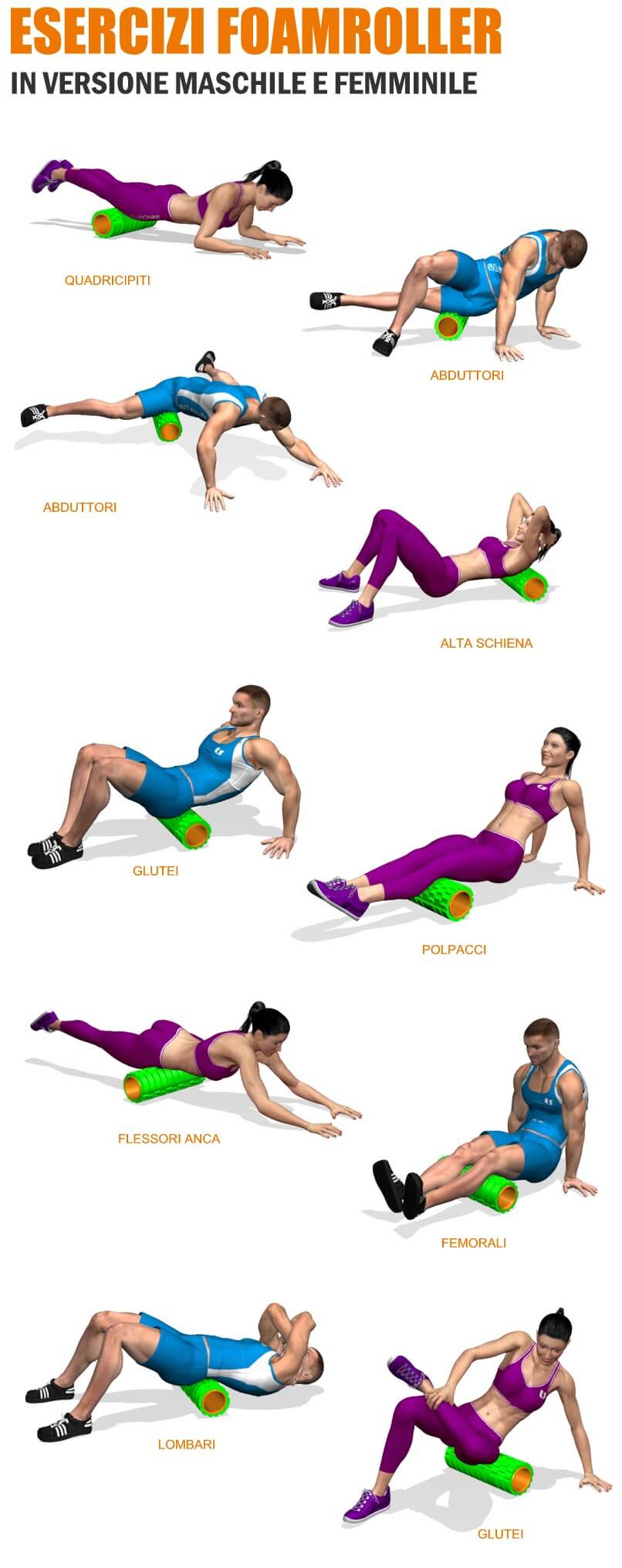 nuovi-esercizi-foamroller-evolutionfit