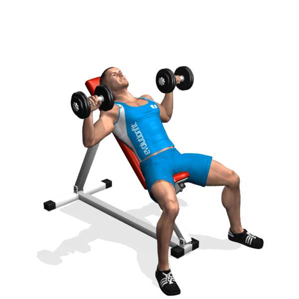 SPINTE PANCA ALTA 2 MANUBRI EvolutionFit