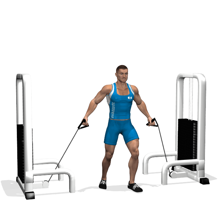 Allenamento pettorali chiusure cavi bassi, inizio allenamento pettorali chiusure cavi bassi, inizio