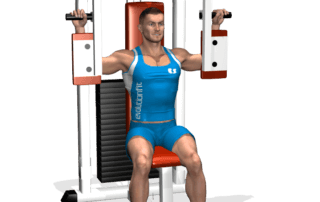 fine chiusure pectoral machine allenamento pettorali