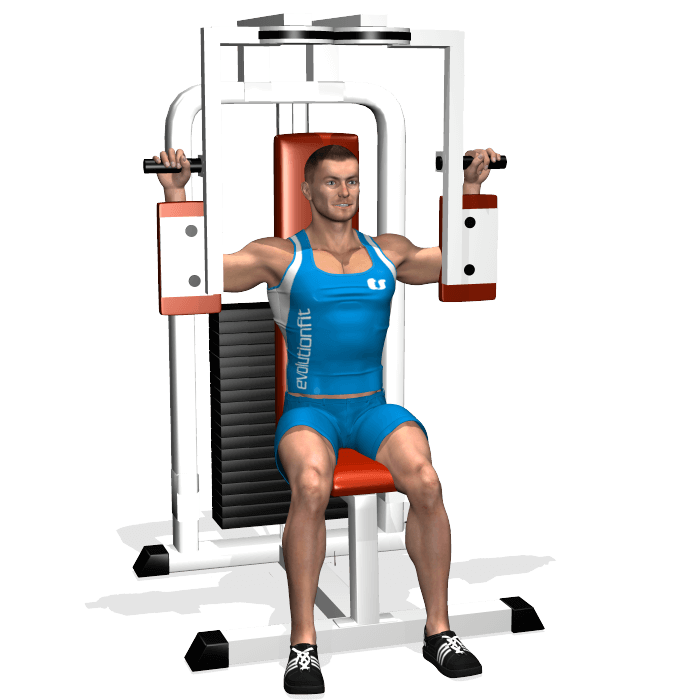 fine chiusure pectoral machine allenamento pettorali