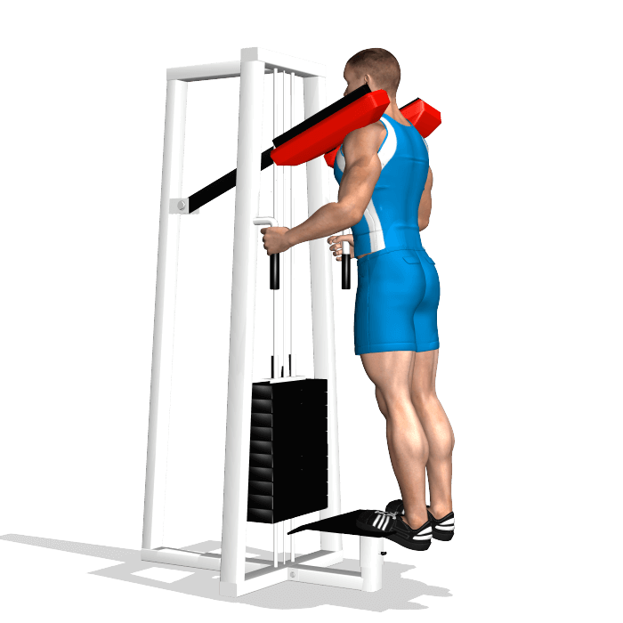 allenamento polpacci calf machine piedi inizio allenamento polpacci calf machine piedi inizio