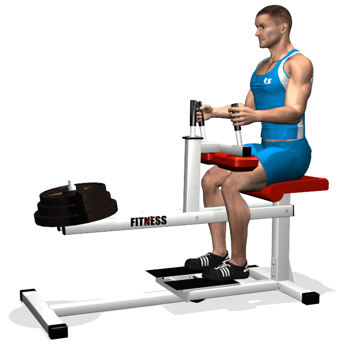 Allenamento polpacci calf machine seduto inizio allenamento polpacci calf machine seduto inizio
