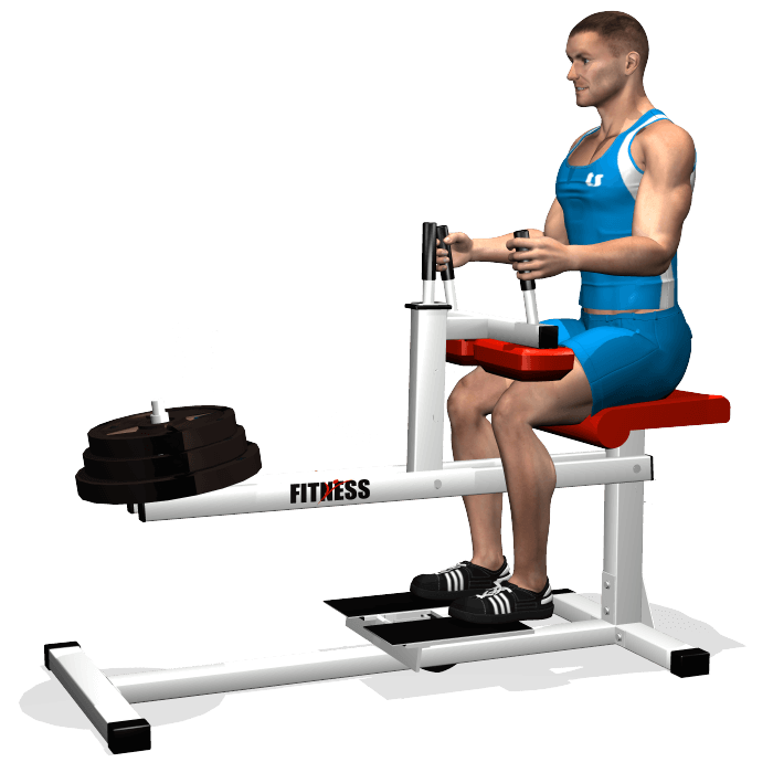 allenamento polpacci calf machine seduto inizio