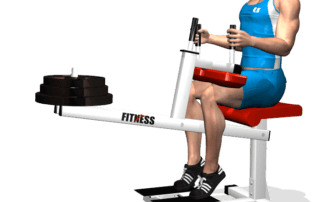 allenamento polpacci calf machine seduto fine