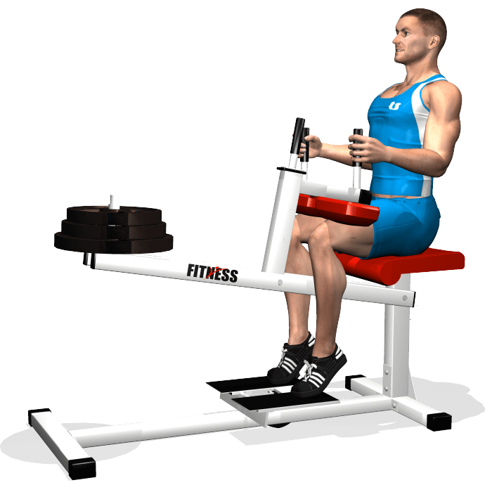 allenamento polpacci calf machine seduto fine